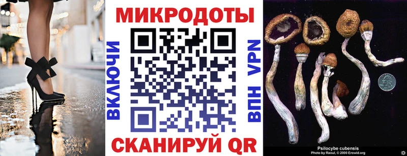 Галлюциногенные грибы мицелий  даркнет сайт  Берёзовка 